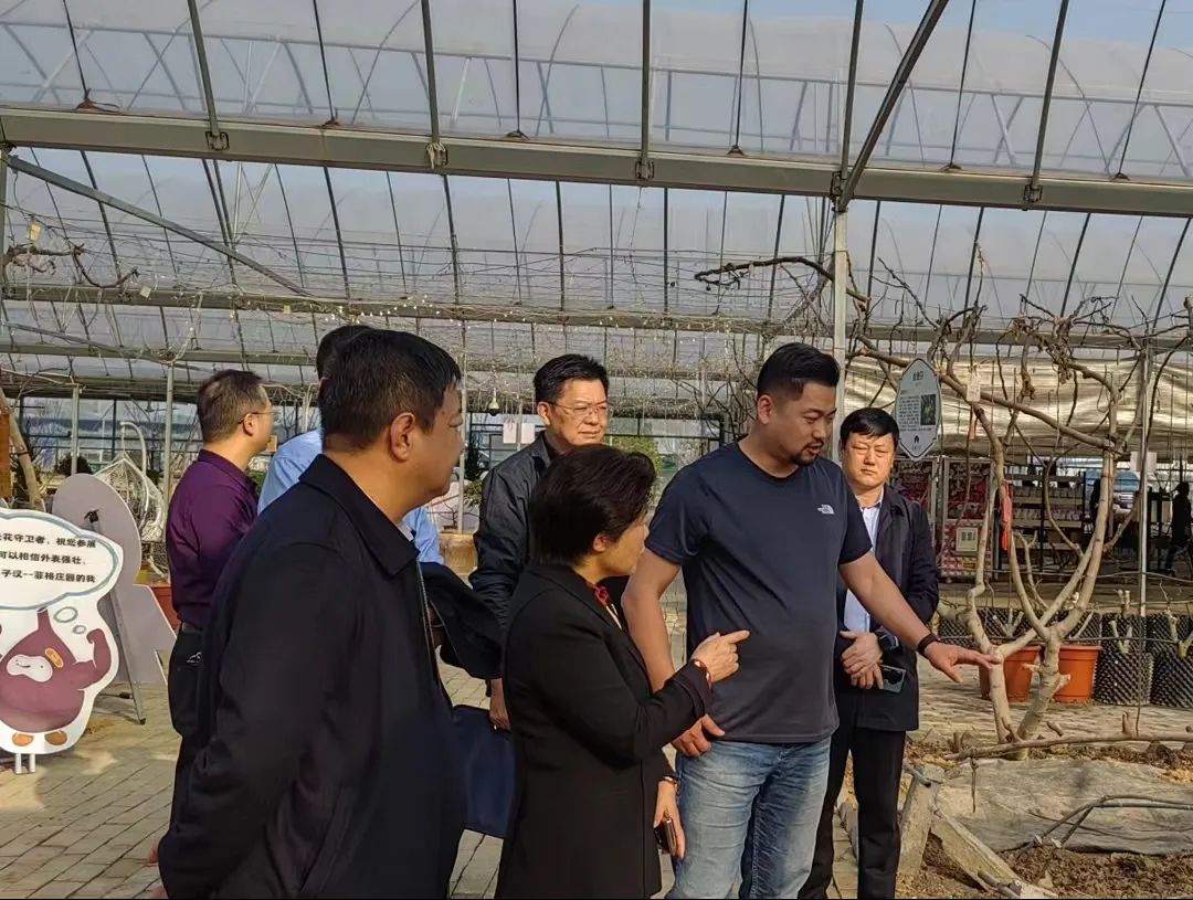 1678454039588037.jpg 3.jpg